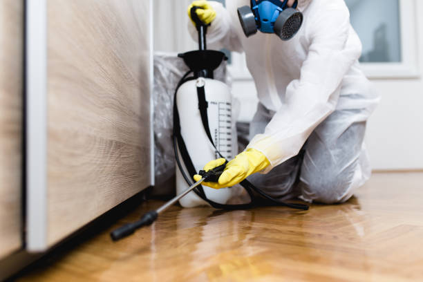 Best Commercial Pest Control Services  in Ste Genevieve, MO