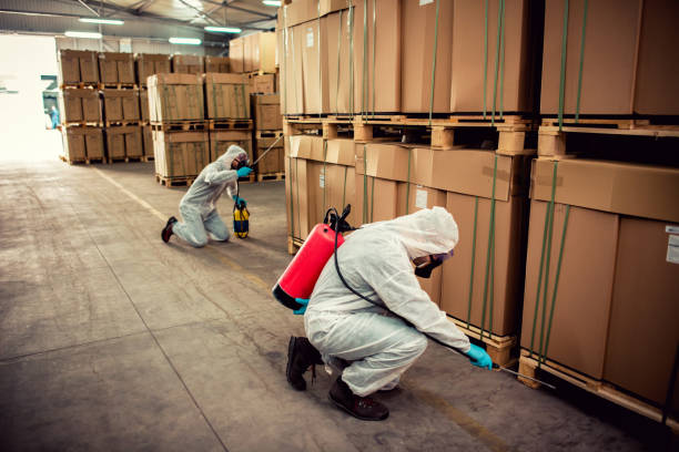 Best Bed Bug Extermination  in Ste Genevieve, MO