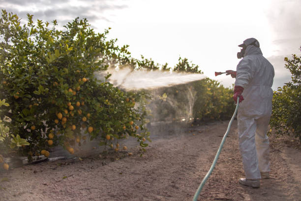 Best Exterminator Services  in Ste Genevieve, MO