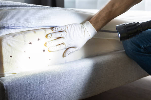 Best Pest Control Near Me in Ste Genevieve, MO